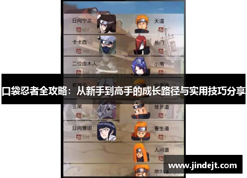 口袋忍者全攻略：从新手到高手的成长路径与实用技巧分享