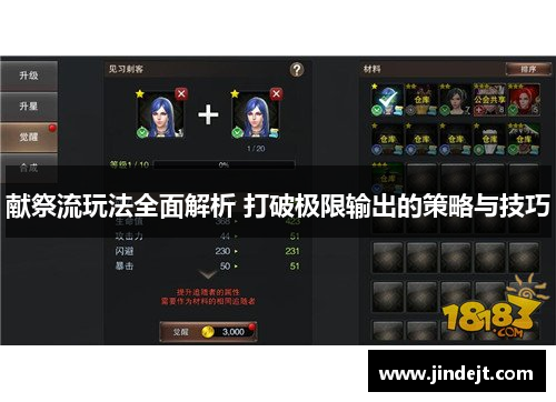 献祭流玩法全面解析 打破极限输出的策略与技巧